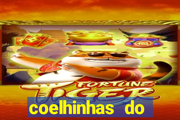 coelhinhas do brasil acompanhantes